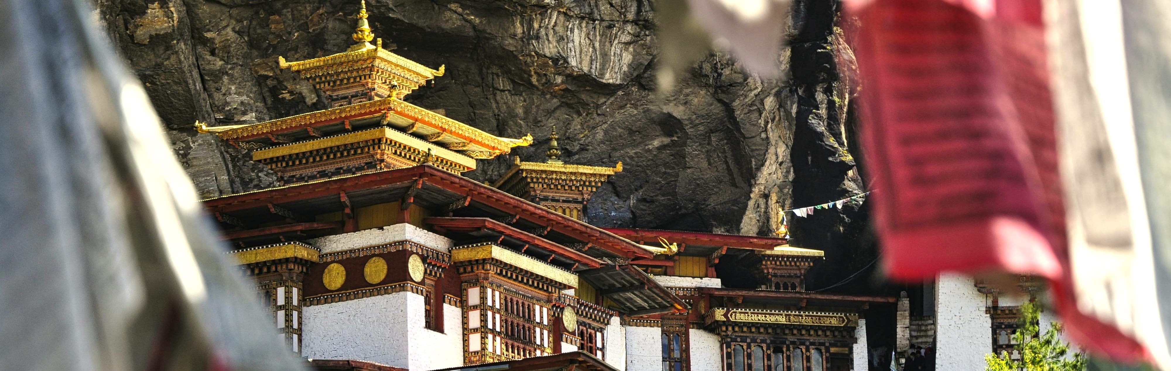 Cultural Tour 8